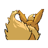 flareon