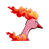 moltres