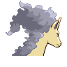 rapidash
