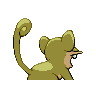 rattata f