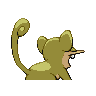 rattata