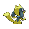 riolu