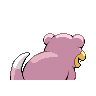 slowpoke