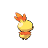 torchic f