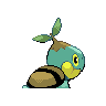 turtwig