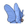 venomoth