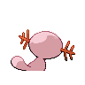 wooper