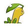 bayleef