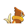 buizel f