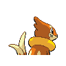 buizel