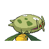 carnivine