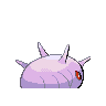 cascoon