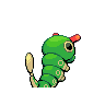 caterpie