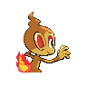 chimchar