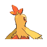 combusken f