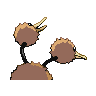doduo