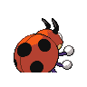 ledyba
