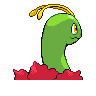 meganium f
