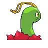 meganium