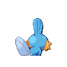 mudkip