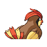 pidgeotto
