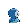 piplup