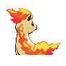 ponyta