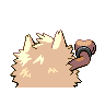 primeape