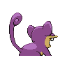 rattata f