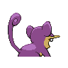 rattata