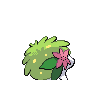 shaymin
