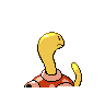 shuckle