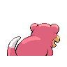 slowpoke