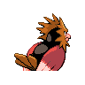 spearow