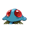 tentacruel
