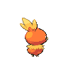 torchic