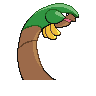 tropius