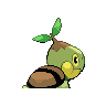 turtwig