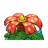 venusaur f
