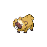 bidoof f