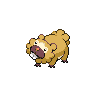 bidoof