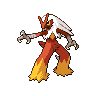 blaziken f