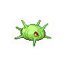 cascoon
