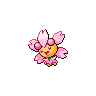 cherrim sunshine