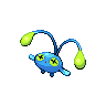 chinchou