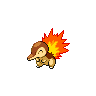 cyndaquil