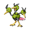 dodrio