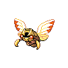 ninjask