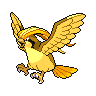 pidgeot