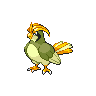 pidgeotto